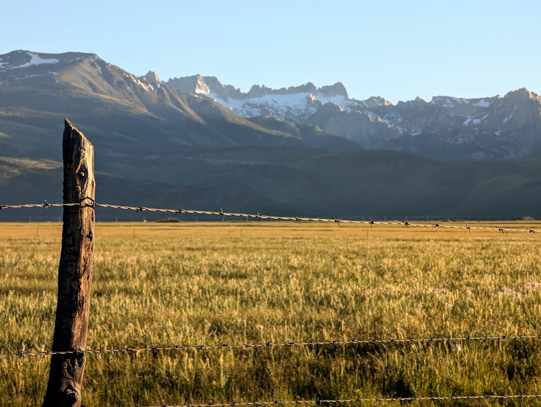 Imagem editorial da linha Patagonia