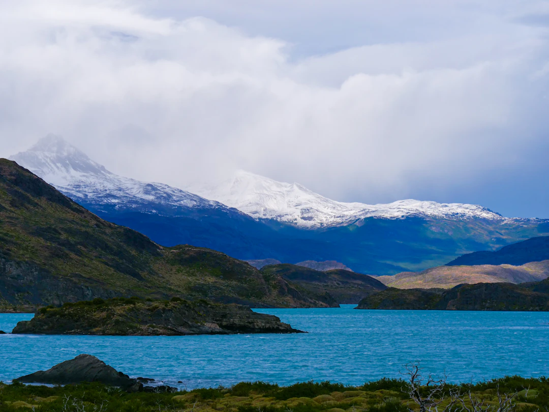Maqui Patagonia - vista 4 de 5 - Maqui Patagonia Herbevie